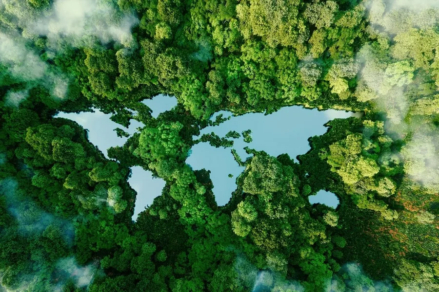 Coconut-shell feedstock is a renewable raw material